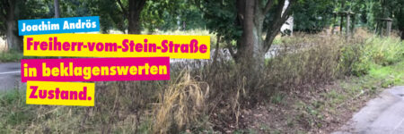 freiherr-v-stein-strasse-cappenberg